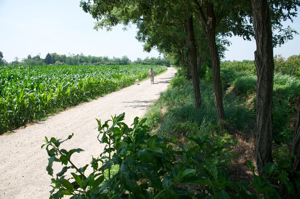 Cascina Delle Mele Vittuone Exterior foto